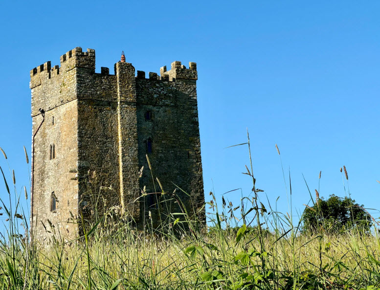 Ballyhealy Castle Wexford, Ireland